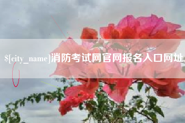 永城消防考试网官网报名入口网址