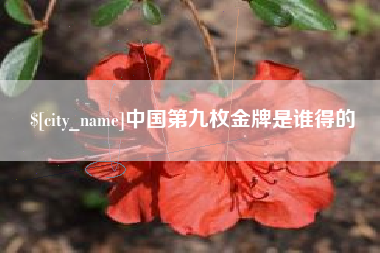 永城中国第九枚金牌是谁得的