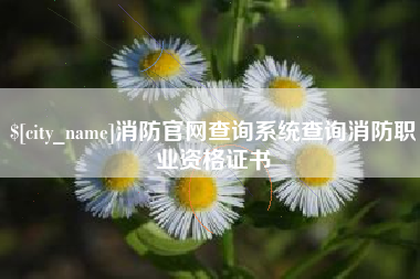 永城消防官网查询系统查询消防职业资格证书