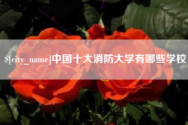 永城中国十大消防大学有哪些学校