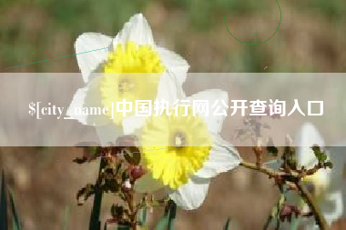 永城中国执行网公开查询入口
