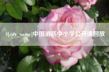 永城中国消防中小学公开课回放