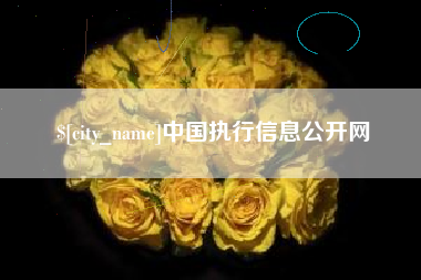 永城中国执行信息公开网