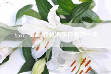 永城森林消防日是哪一天