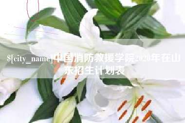 永城中国消防救援学院2020年在山东招生计划表