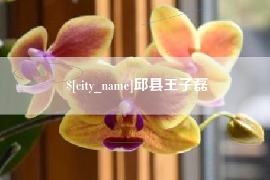 永城邱县王子磊