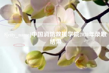 永城中国消防救援学院2020年录取结果