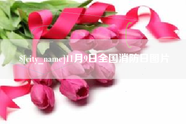 永城11月9日全国消防日图片