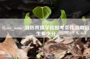 永城消防救援学院报考条件湖南招生多少分