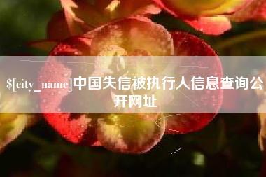 永城中国失信被执行人信息查询公开网址