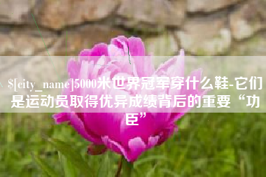 永城5000米世界冠军穿什么鞋-它们是运动员取得优异成绩背后的重要“功臣”