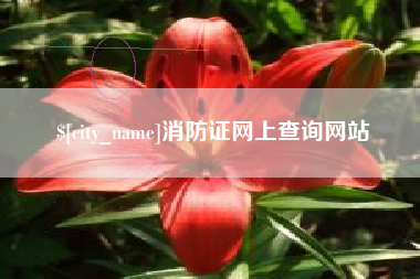 永城消防证网上查询网站