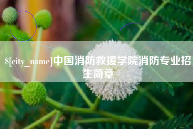 永城中国消防救援学院消防专业招生简章
