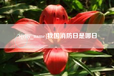 永城我国消防日是哪日