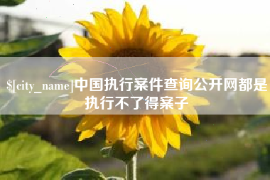 永城中国执行案件查询公开网都是执行不了得案子