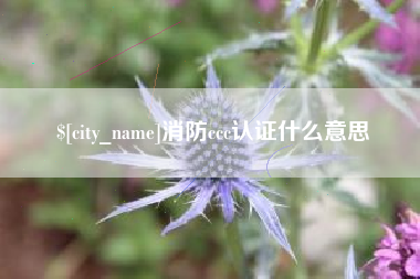 永城消防ccc认证什么意思