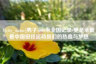 永城男子5000米全国记录-更是承载着中国田径运动员们的热血与梦想