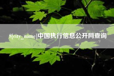 永城中国执行信息公开网查询