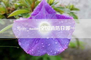 永城全国消防日哪一