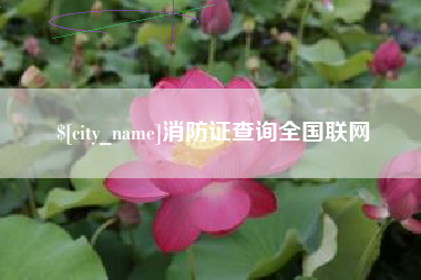 永城消防证查询全国联网