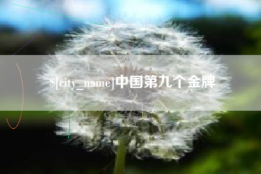 永城中国第九个金牌