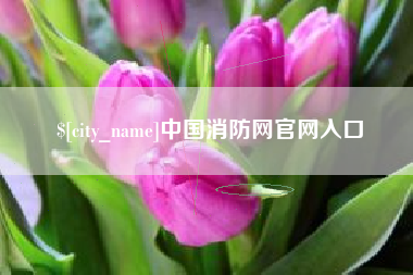 永城中国消防网官网入口