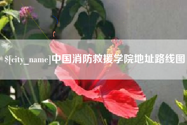 永城中国消防救援学院地址路线图