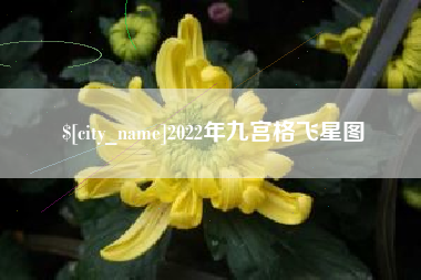 永城2022年九宫格飞星图