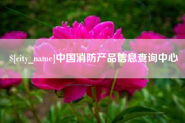 永城中国消防产品信息查询中心