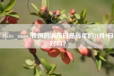 永城我国的消防日是每年的11月9日对吗？