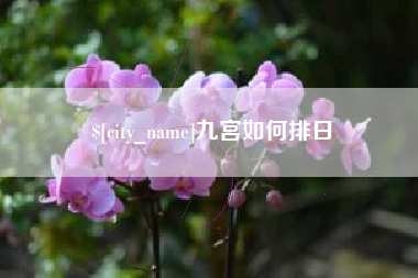 永城九宫如何排日