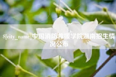 永城中国消防救援学院湖南招生情况公布