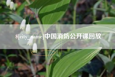 永城中国消防公开课回放