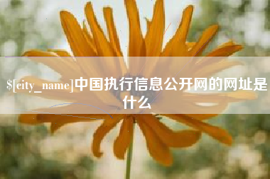 永城中国执行信息公开网的网址是什么