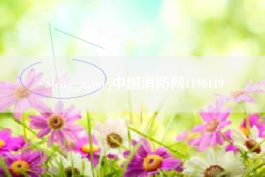 永城中国消防网1190119