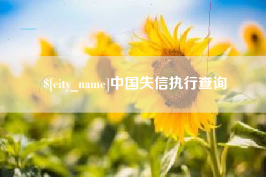 永城中国失信执行查询