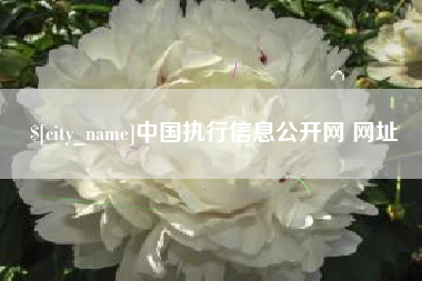 永城中国执行信息公开网 网址