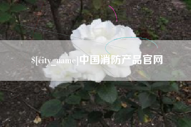 永城中国消防产品官网