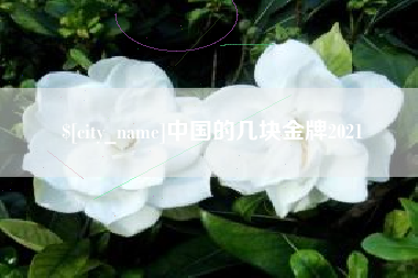 永城中国的几块金牌2021