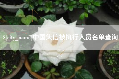 永城中国失信被执行人员名单查询