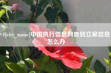 永城中国执行信息网查到立案信息怎么办