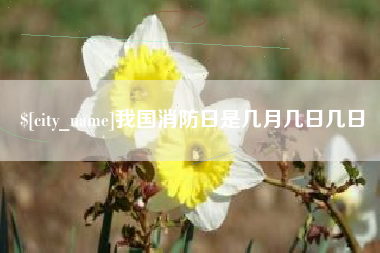 永城我国消防日是几月几日几日