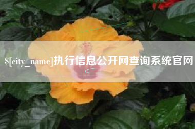 永城执行信息公开网查询系统官网