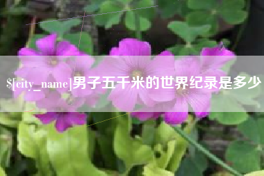 永城男子五千米的世界纪录是多少