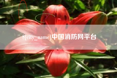 永城中国消防网平台