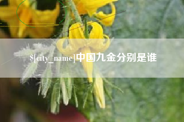 永城中国九金分别是谁