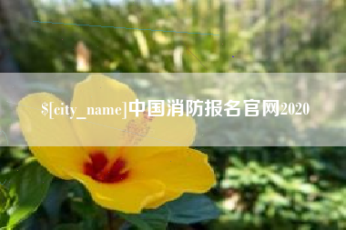 永城中国消防报名官网2020
