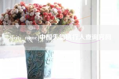 永城中国失信执行人查询官网