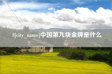 永城中国第九块金牌是什么
