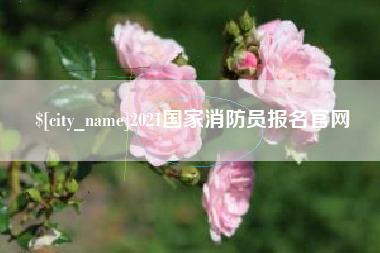 永城2021国家消防员报名官网